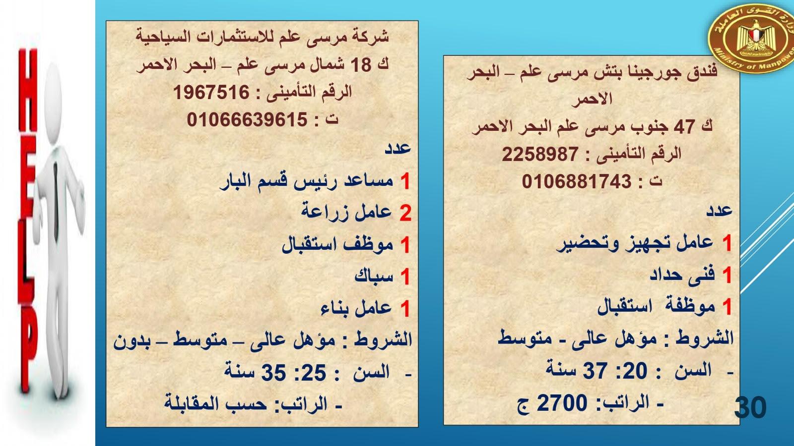 لبوم   براتب  2700القوى العاملة تعلن عن1415.. فرصة عمل في 8 محافظات حنى آخر مايو  وصف الالبوم