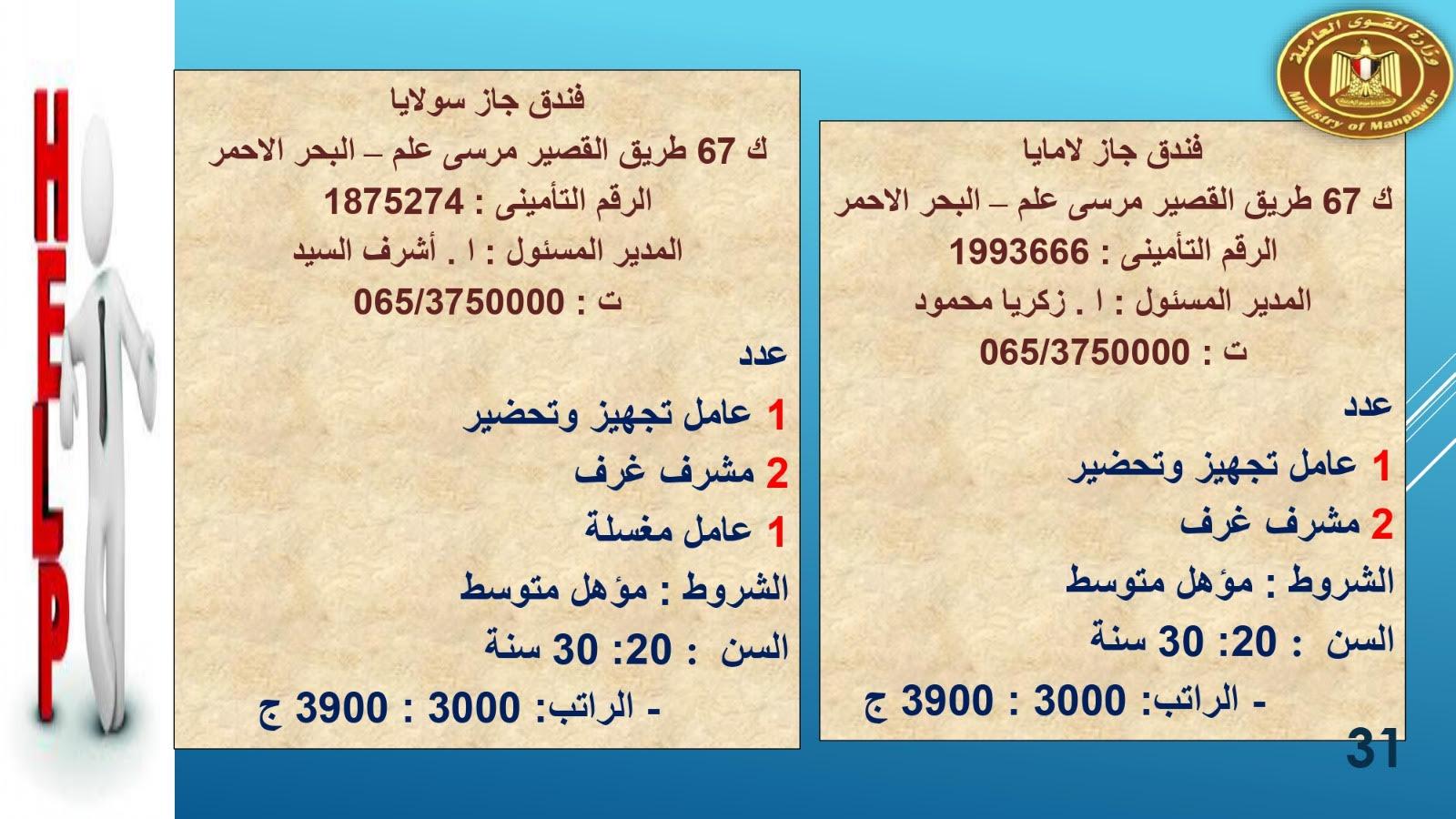لبوم   براتب  2700القوى العاملة تعلن عن1415.. فرصة عمل في 8 محافظات حنى آخر مايو  وصف الالبوم
