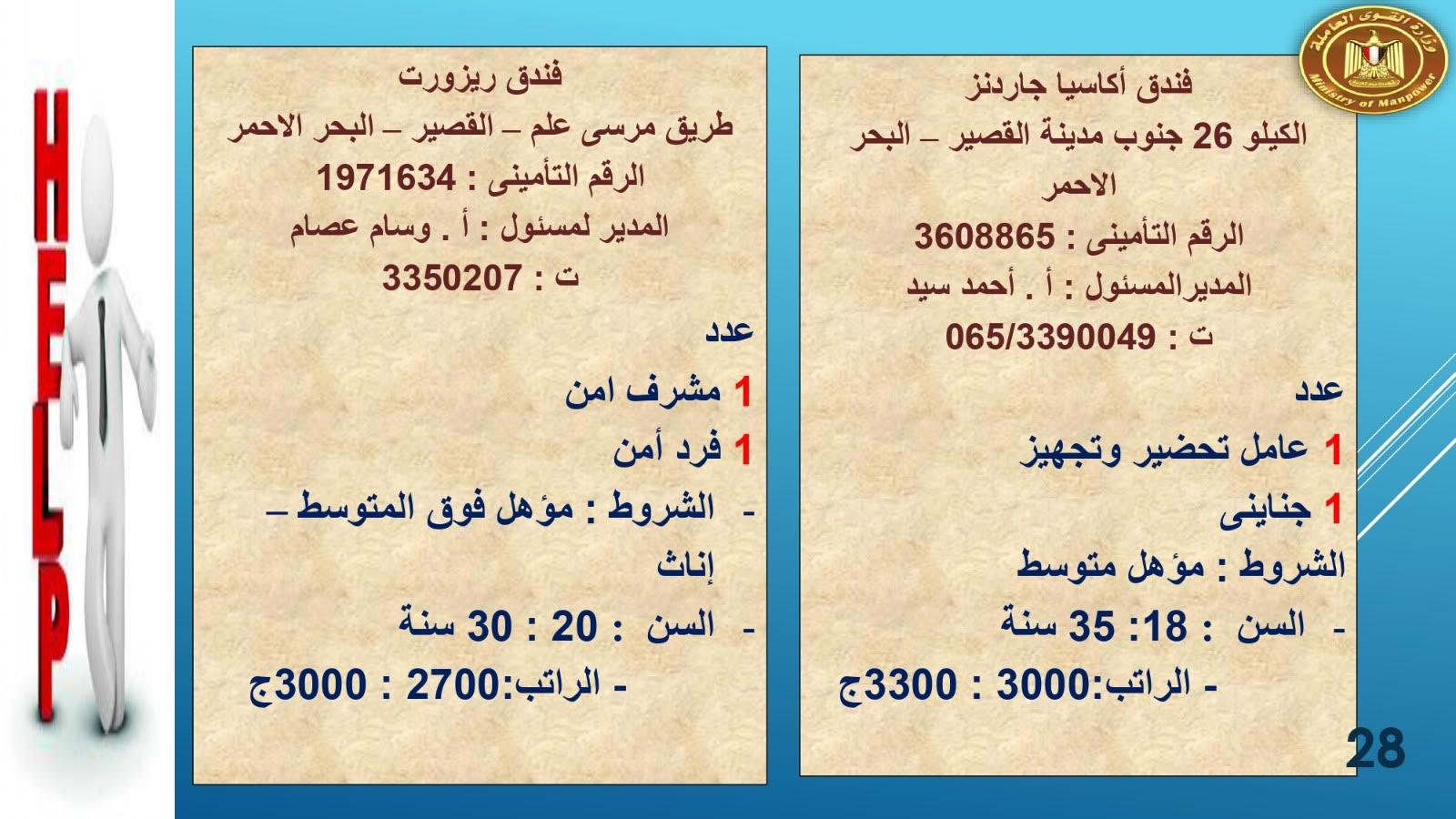 لبوم   براتب  2700القوى العاملة تعلن عن1415.. فرصة عمل في 8 محافظات حنى آخر مايو  وصف الالبوم
