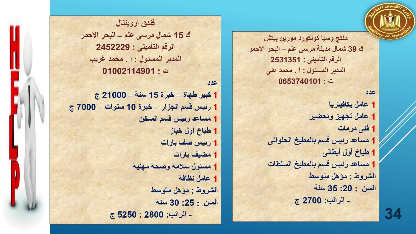 لبوم   براتب  2700القوى العاملة تعلن عن1415.. فرصة عمل في 8 محافظات حنى آخر مايو  وصف الالبوم