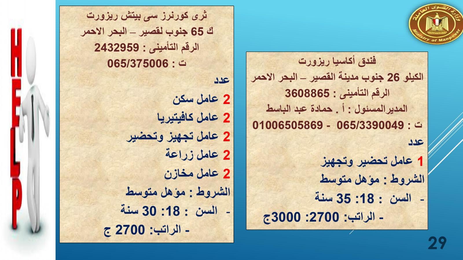 لبوم   براتب  2700القوى العاملة تعلن عن1415.. فرصة عمل في 8 محافظات حنى آخر مايو  وصف الالبوم