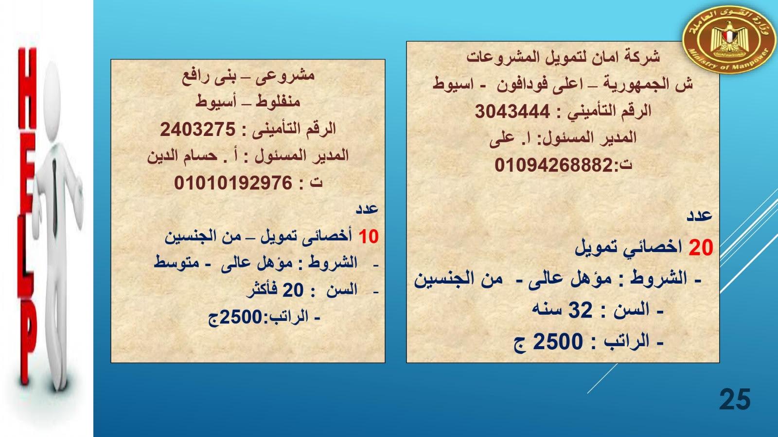 لبوم   براتب  2700القوى العاملة تعلن عن1415.. فرصة عمل في 8 محافظات حنى آخر مايو  وصف الالبوم