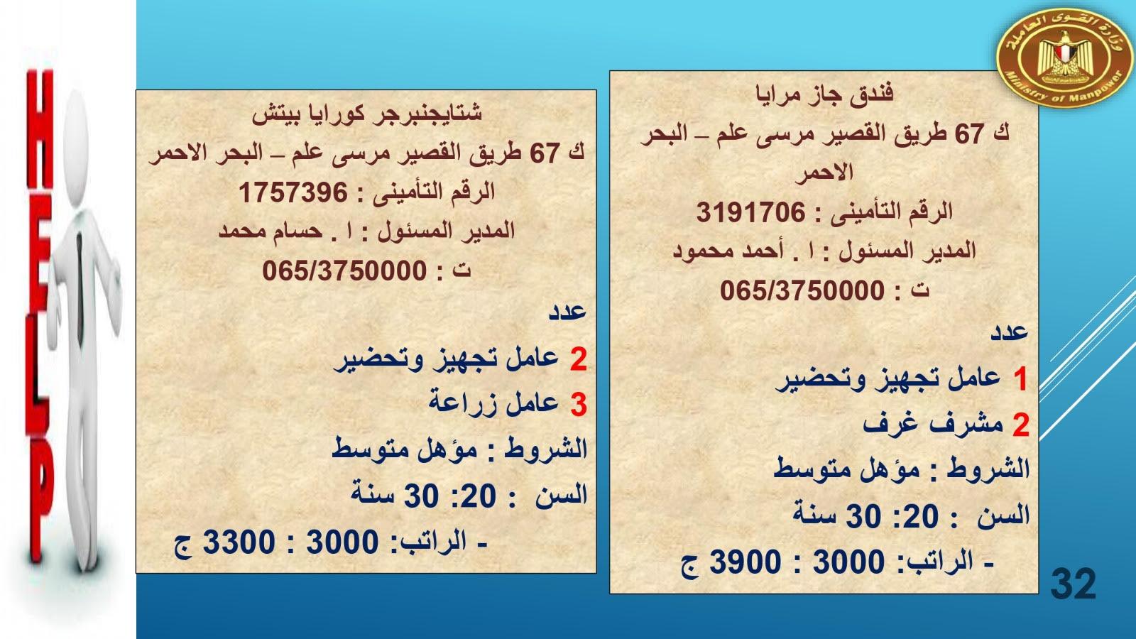 لبوم   براتب  2700القوى العاملة تعلن عن1415.. فرصة عمل في 8 محافظات حنى آخر مايو  وصف الالبوم