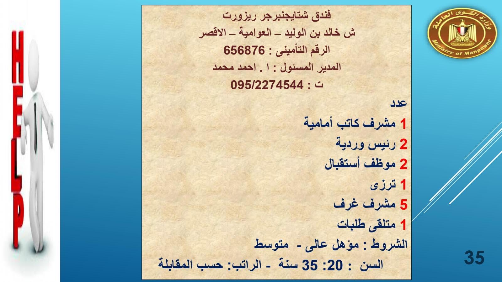 لبوم   براتب  2700القوى العاملة تعلن عن1415.. فرصة عمل في 8 محافظات حنى آخر مايو  وصف الالبوم
