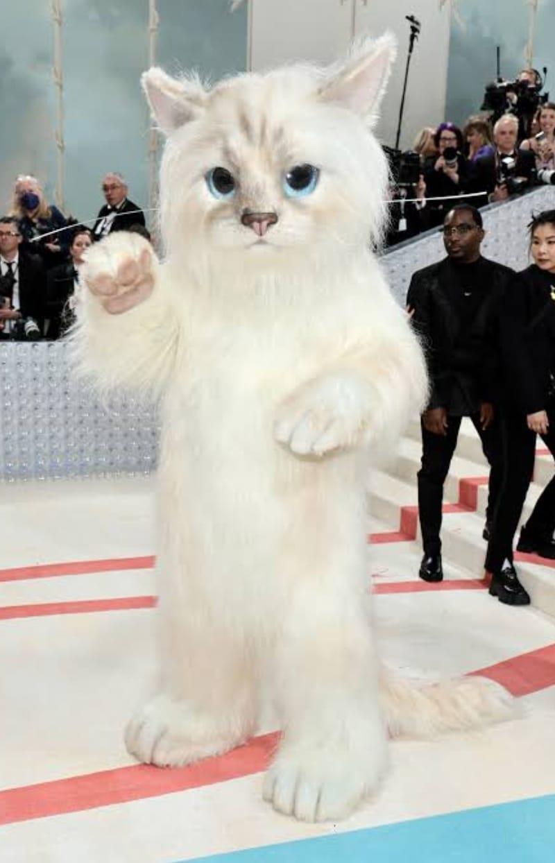 Met Gala 2023