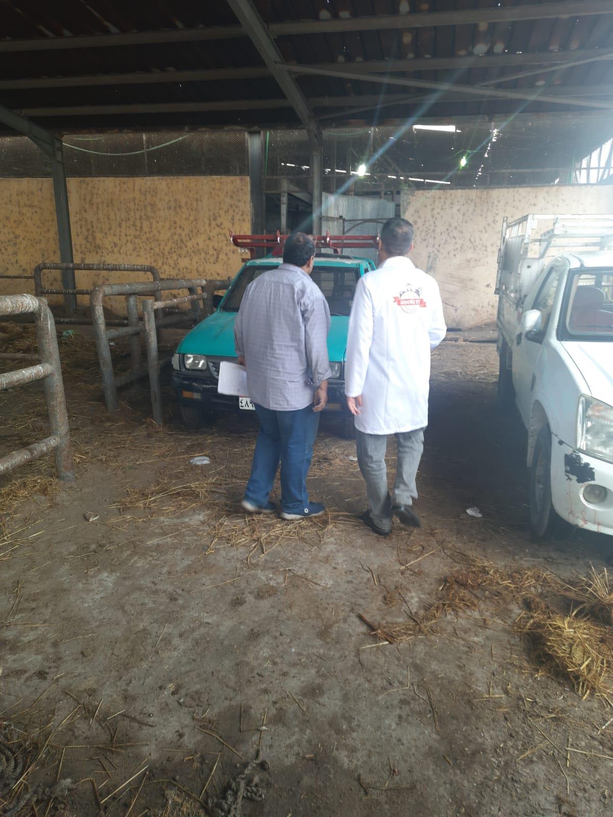 مجازر الإسماعيلية