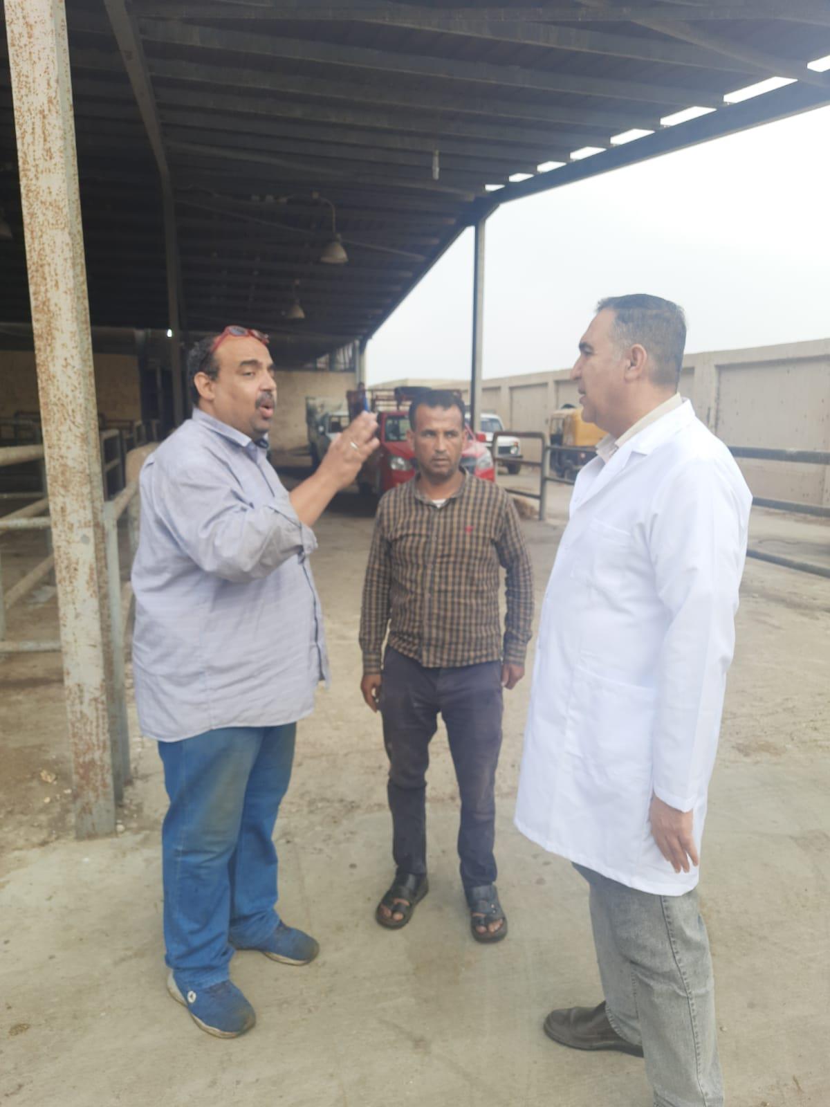 مجازر الإسماعيلية