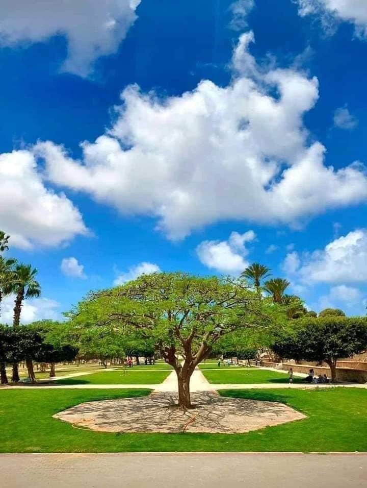 حدائق أنطونيادس