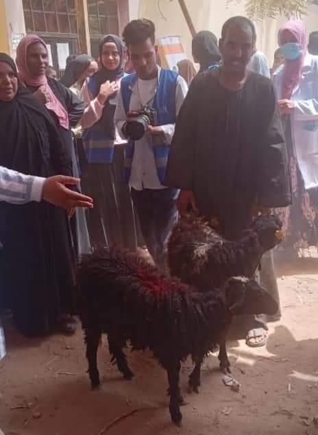 مبادرة رزق حلال توزع 144 راس غنم على 72 اسره بالاقصر‎