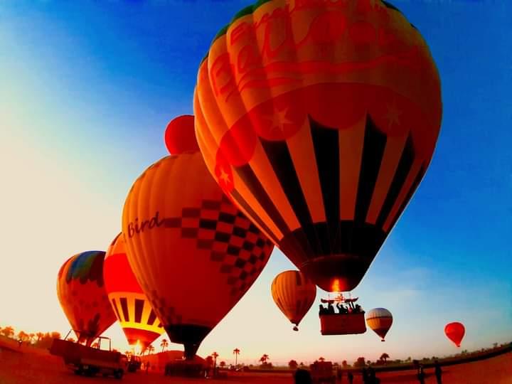 35 رحلة بالون طائر تغرد فى سماء الاقصر اليوم وعلى متنها 845 سائح