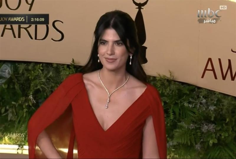 نجوم الفن ومشاهير العالم في حفل Joy Awards 