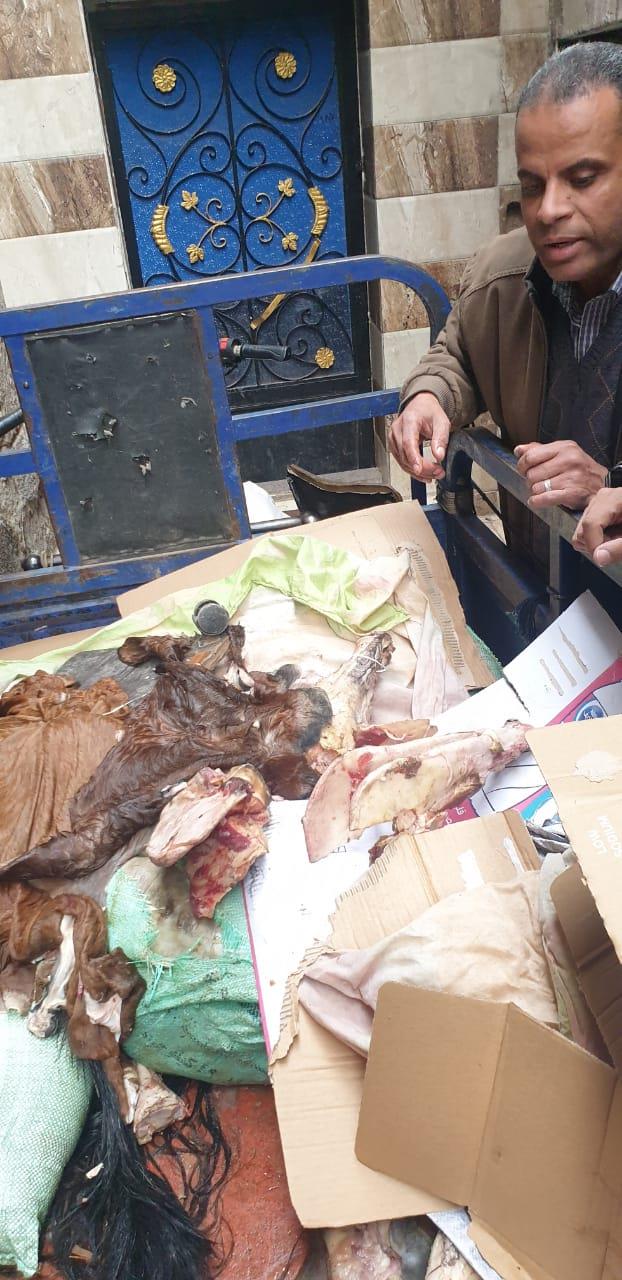  ضبط 3,5 طن لحوم و دواجن فاسدة وغير صالحة للاستهلاك الادمي بالجيزة| صور