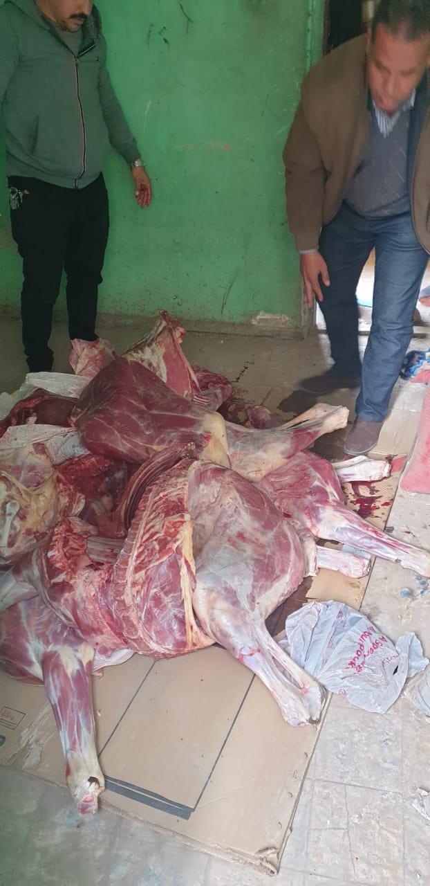  ضبط 3,5 طن لحوم و دواجن فاسدة وغير صالحة للاستهلاك الادمي بالجيزة| صور