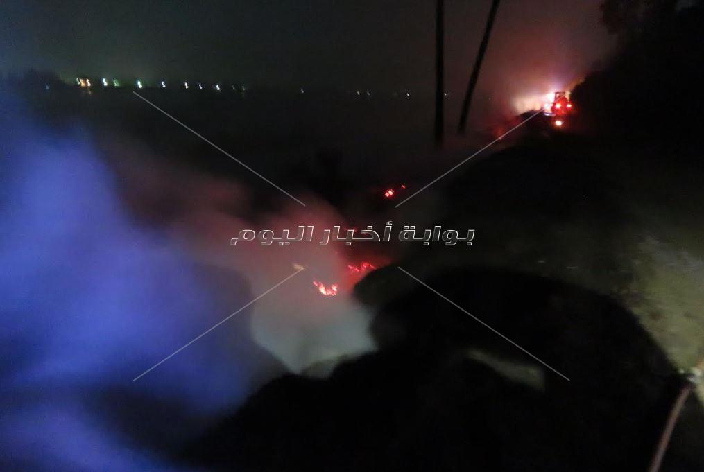 حريق بمزرعة وزارة الزراعة على ضفاف النيل بسوهاج