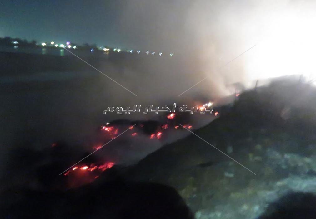 حريق بمزرعة وزارة الزراعة على ضفاف النيل بسوهاج