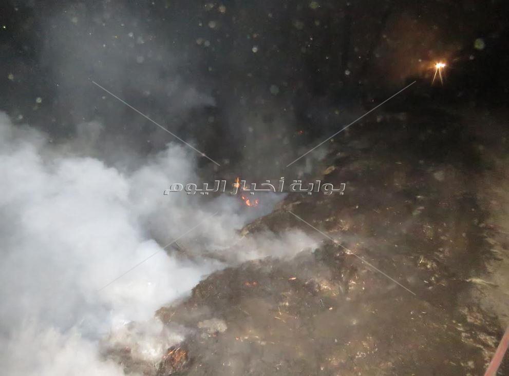حريق بمزرعة وزارة الزراعة على ضفاف النيل بسوهاج