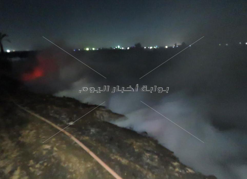 حريق بمزرعة وزارة الزراعة على ضفاف النيل بسوهاج