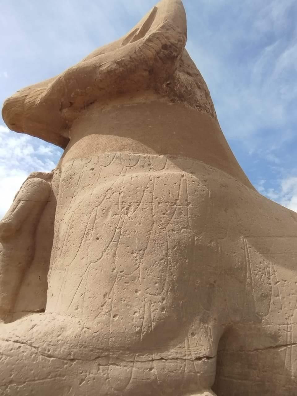 معركة علمية بين "بريك والصغير" لصالح طريق الكباش