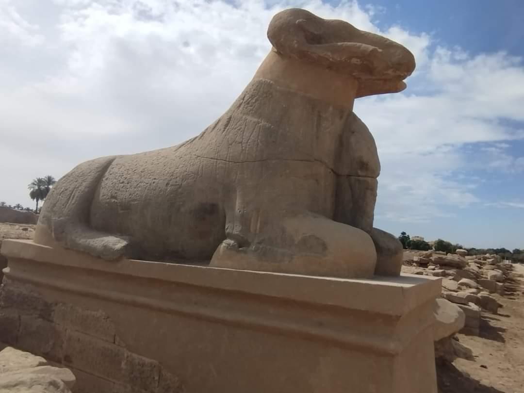 معركة علمية بين "بريك والصغير" لصالح طريق الكباش
