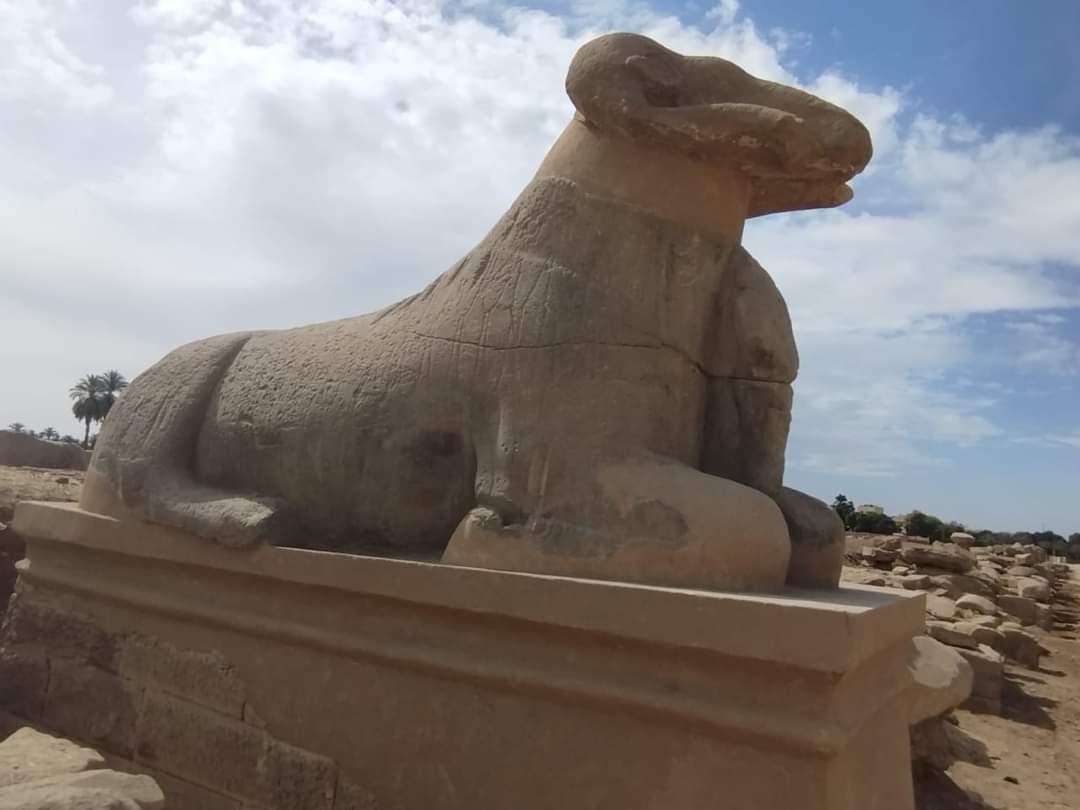 معركة علمية بين "بريك والصغير" لصالح طريق الكباش