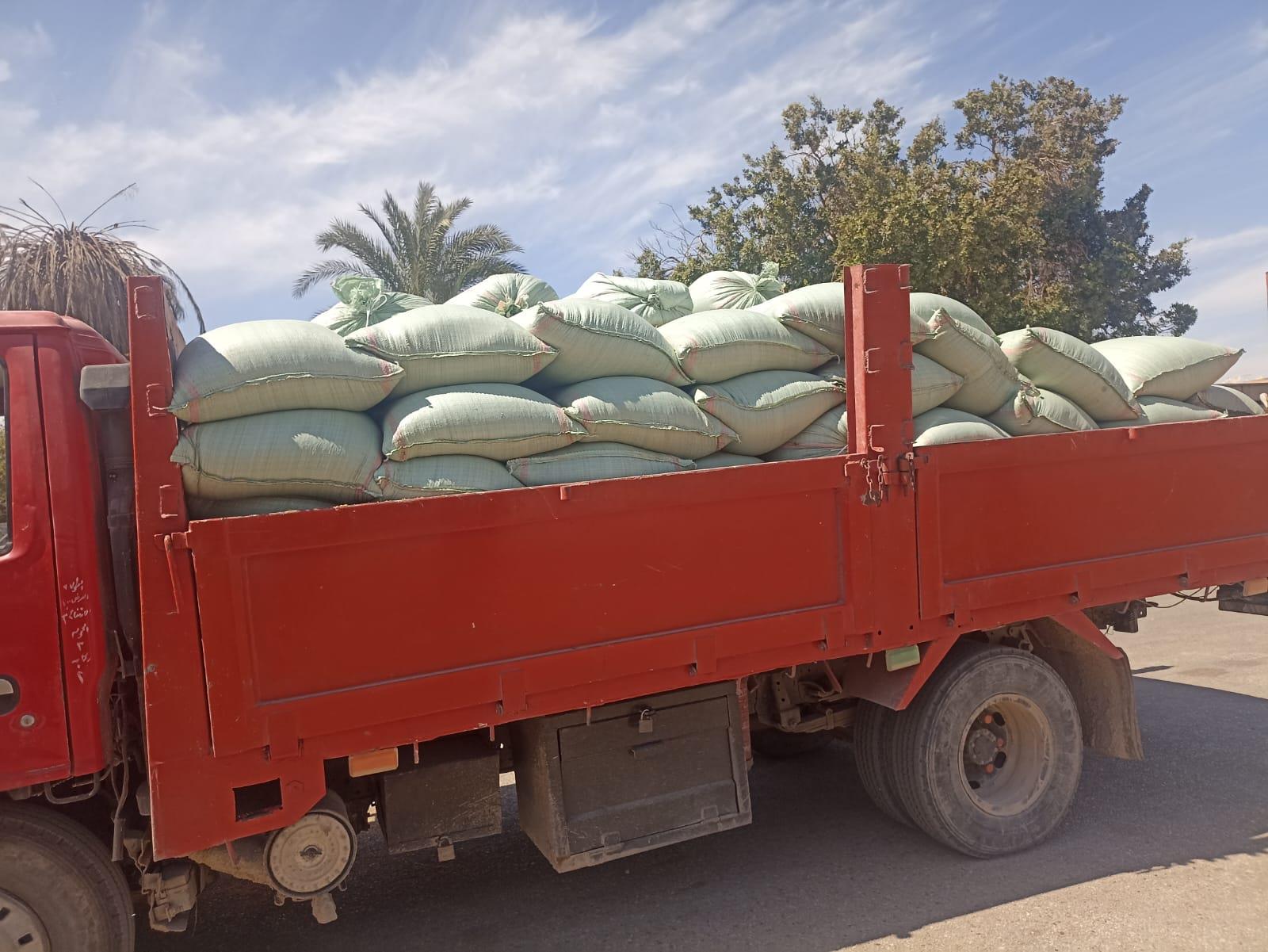 جانب من اعمال توريد القمح
