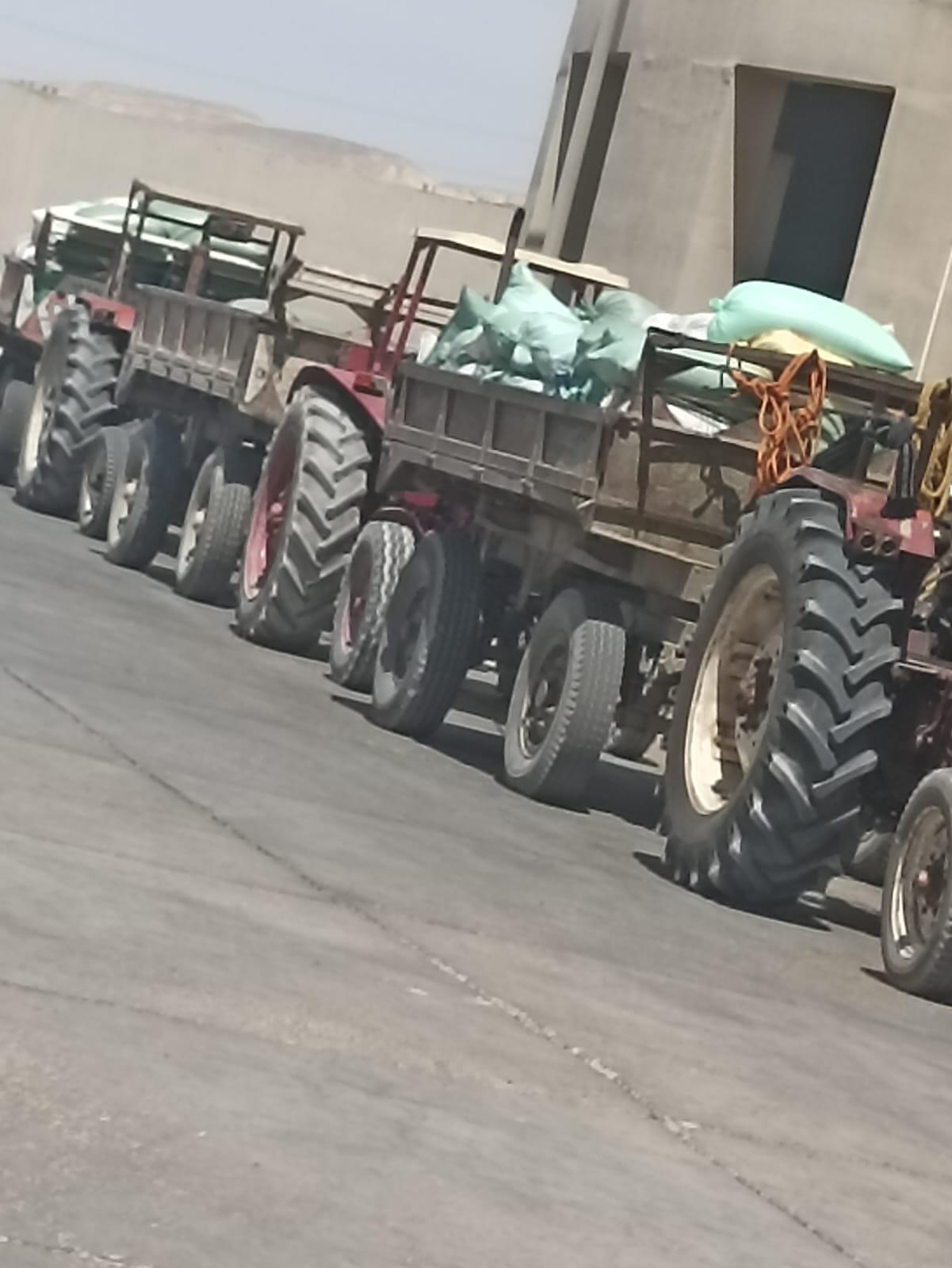 جانب من اعمال توريد القمح