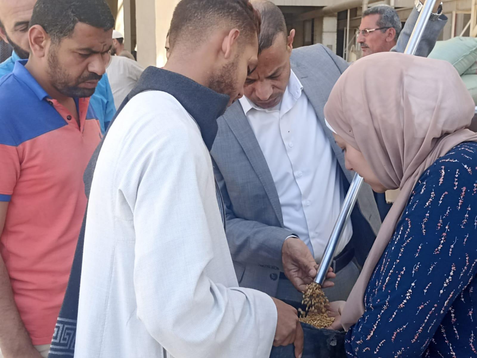 جانب من اعمال توريد القمح