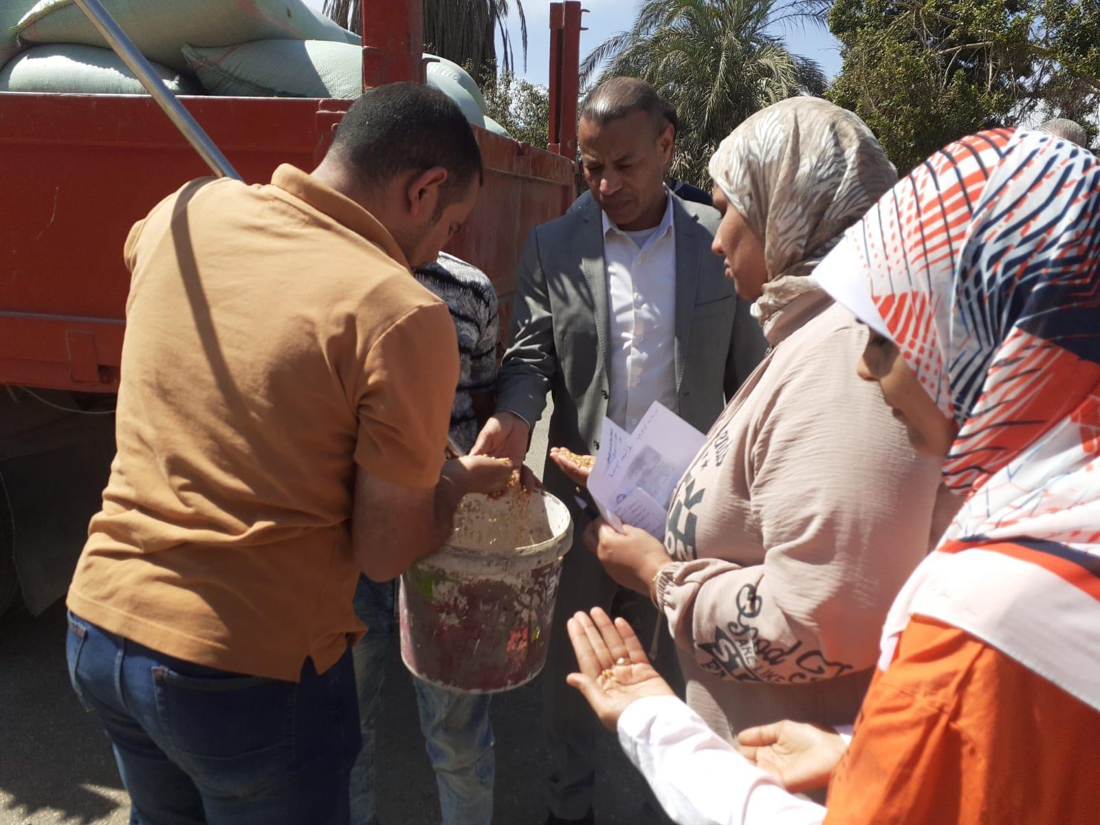 جانب من اعمال توريد القمح