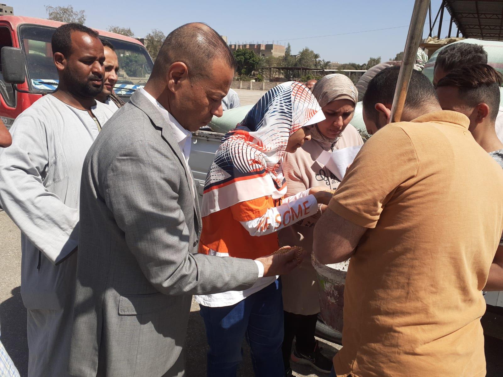 جانب من اعمال توريد القمح