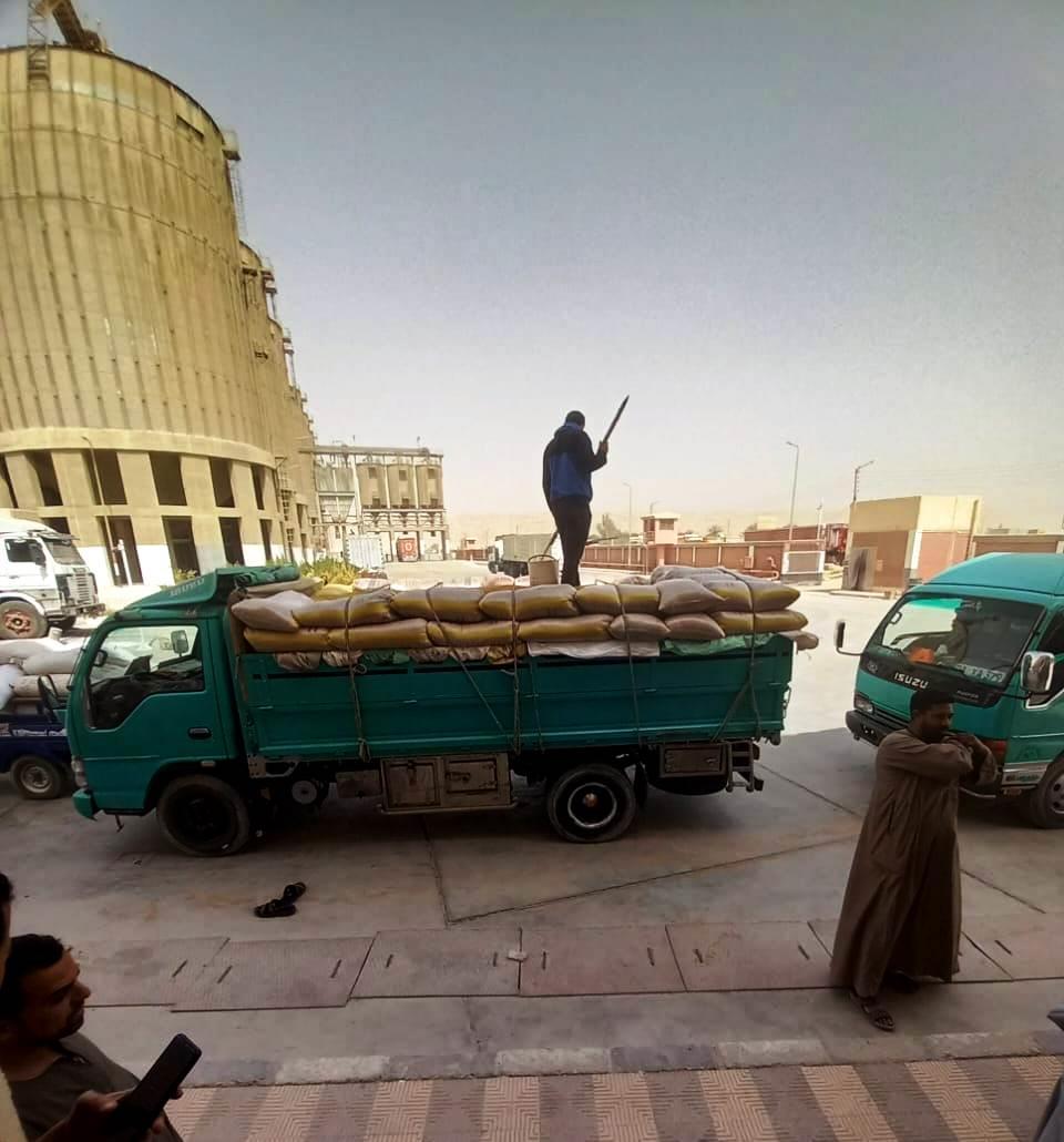 موسم توريد الأقماح 