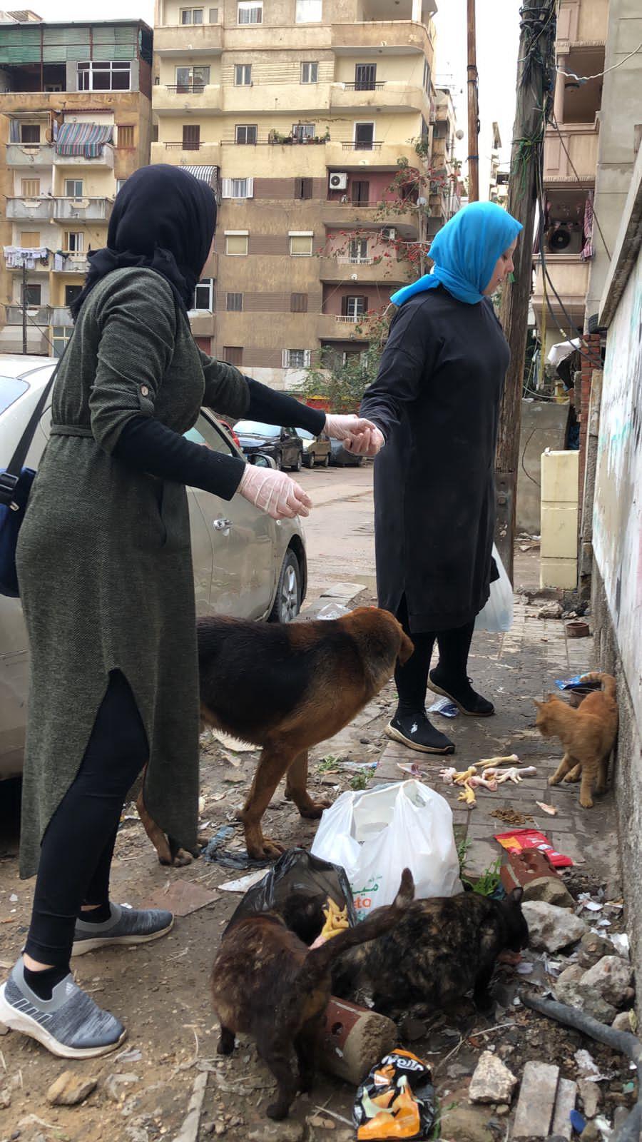 نهى وندا تطعمان الكلاب والقطط
