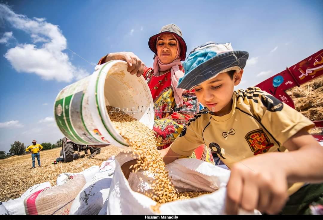  عيد حصاد القمح في مصر القديمة