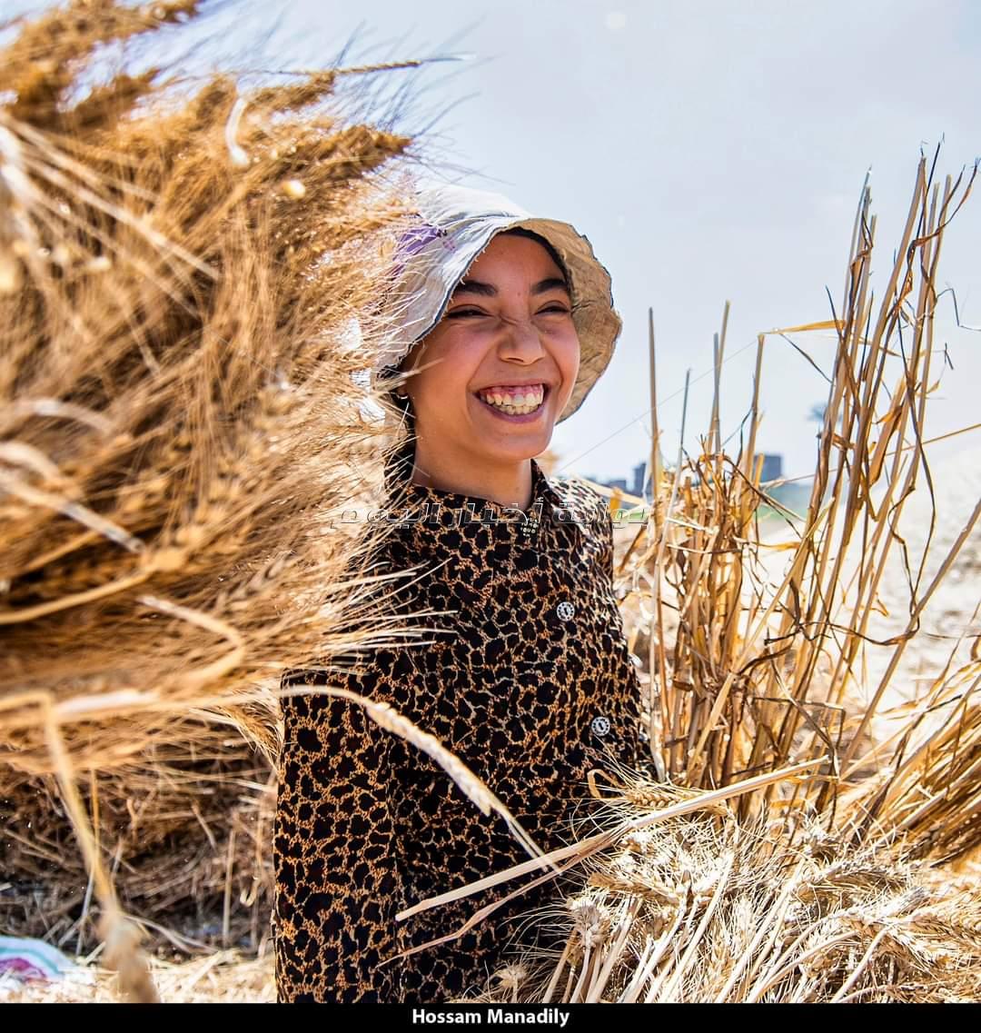  عيد حصاد القمح في مصر القديمة