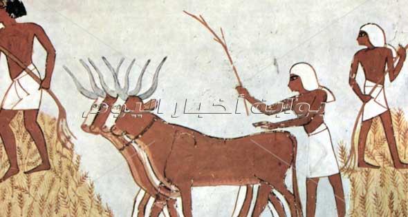  عيد حصاد القمح في مصر القديمة