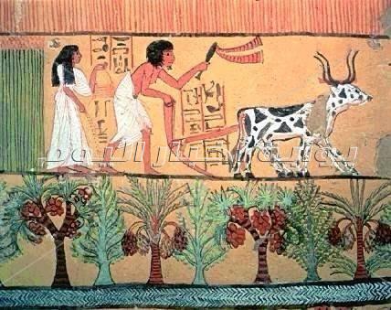  عيد حصاد القمح في مصر القديمة