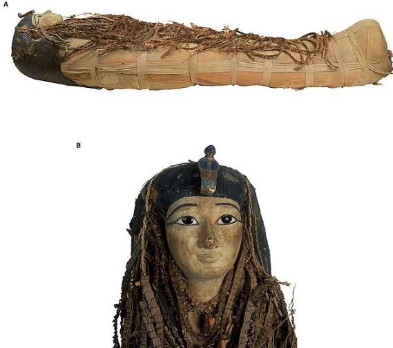 إعادة إحياء وجه فرعون مصري يعود إلى 3,500 عام: أسرار آمونحتب الأول| صور