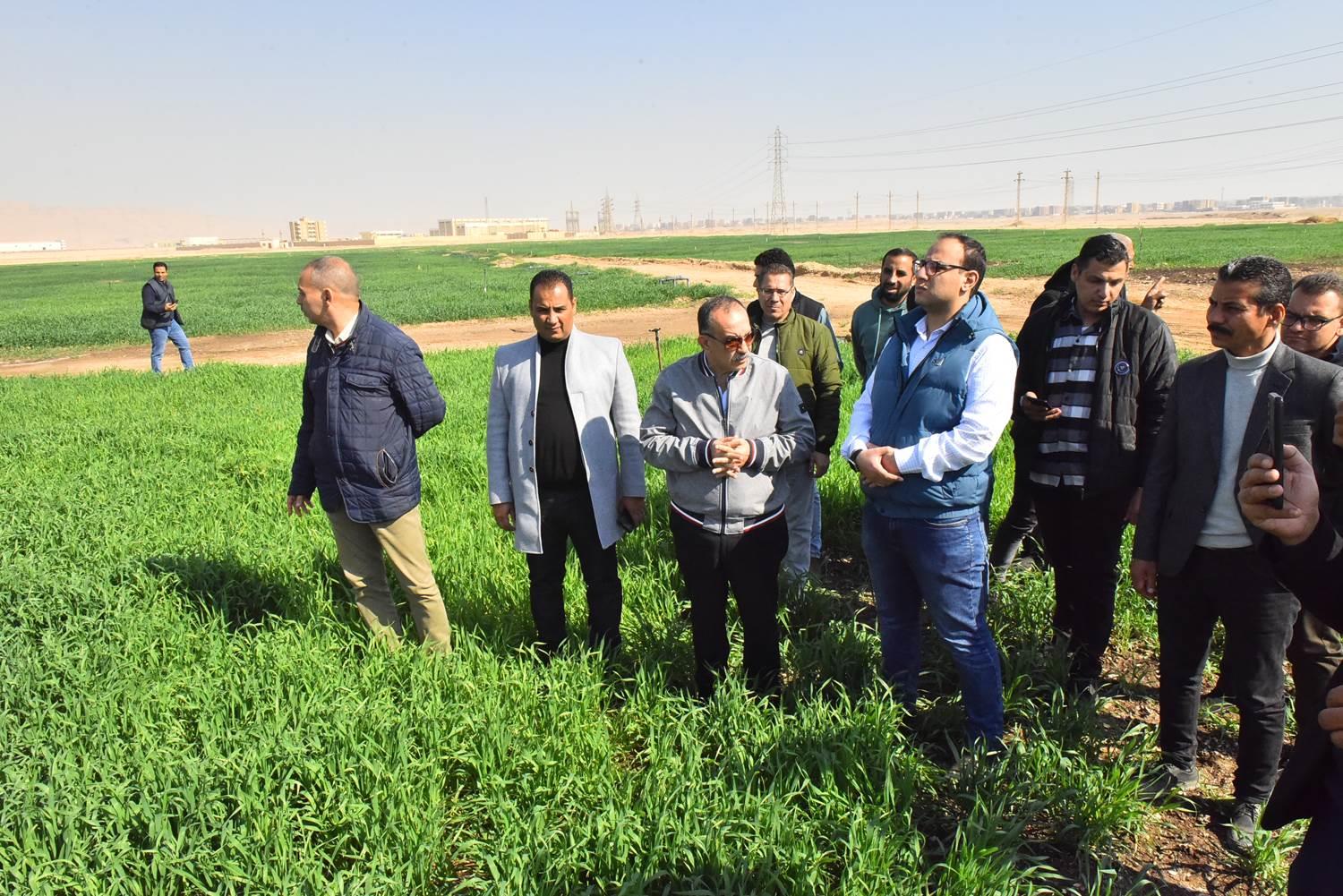 محافظ أسيوط يتفقد زراعة 150 فدان من محصول القمح بمزرعة الوادي الأسيوطي| صور