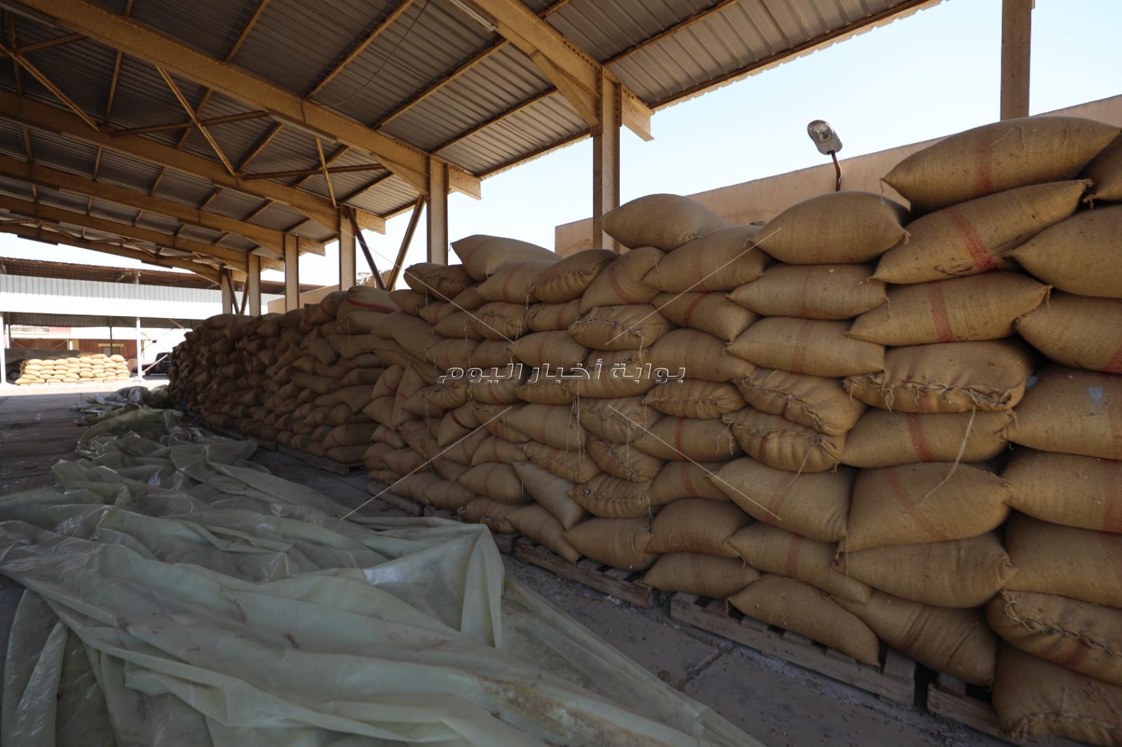 وزير الزراعة ومحافظ كفر الشيخ يتفقدان إدارة إنتاج التقاوي بالمحافظة 