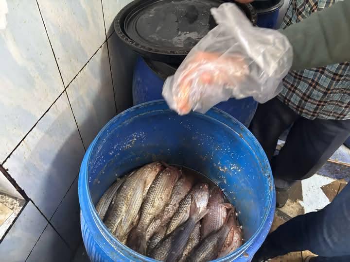  ضبط كميات من الأسماك المملحة ومواد غذائية مجهولة المصدر لبيعها بأعياد الربيع بدمياط 