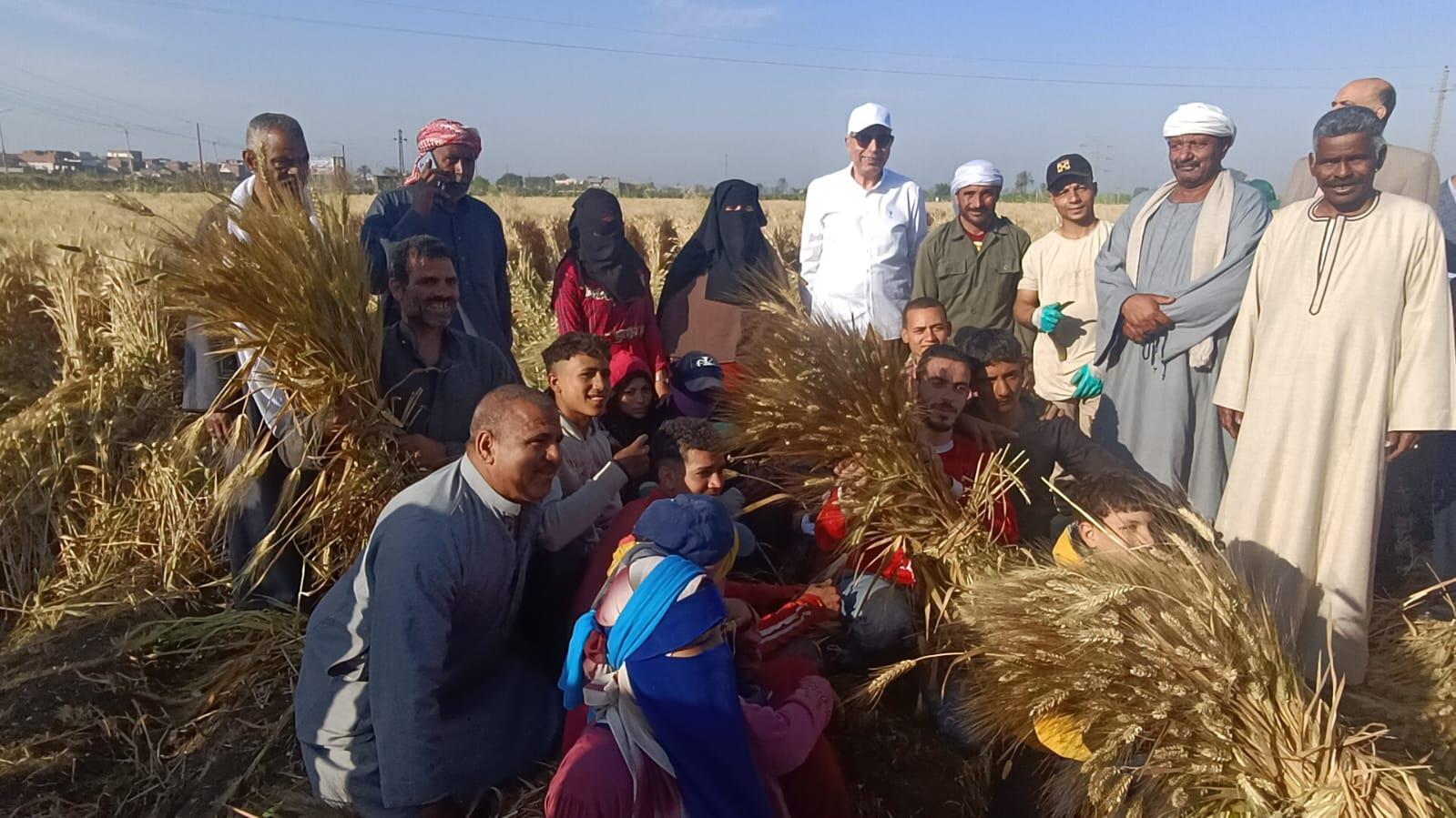 اللواء عماد كدواني، محافظ المنيا يتابع حصاد محصول القمح