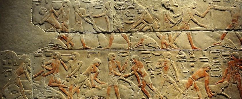 طقوس الأضاحي في مصر القديمة.. أسرار روحية يكشفها "وزيري"