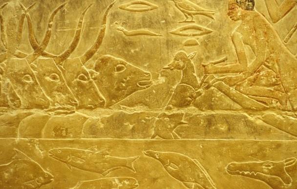 طقوس الأضاحي في مصر القديمة.. أسرار روحية يكشفها "وزيري"