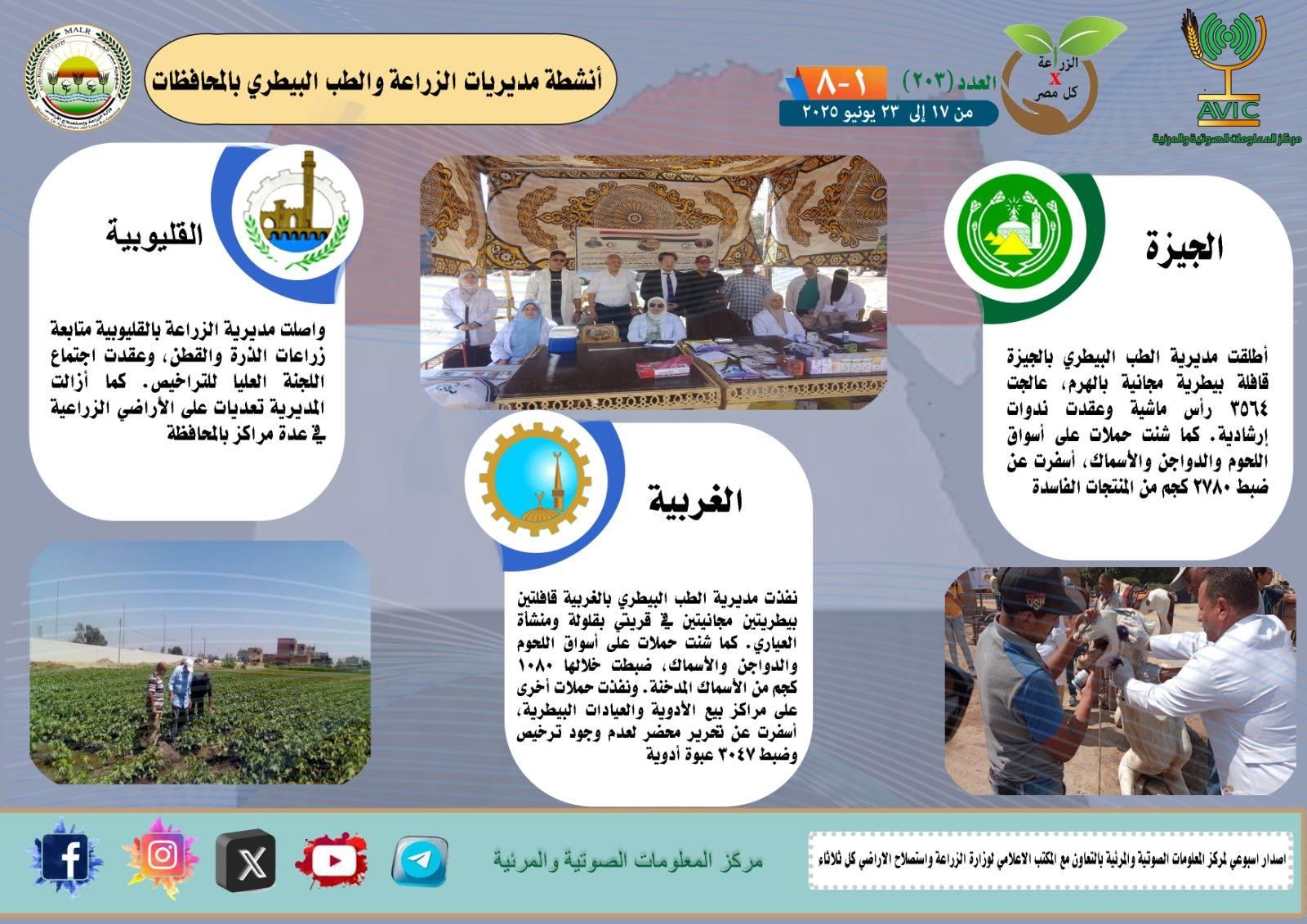 الزراعة