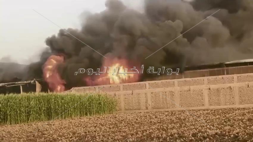 كابوس في القناطر الخيرية.. 5 ضحايا في حريق مصنع  والحماية المدنية تسيطر| صور