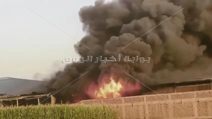 كابوس في القناطر الخيرية.. 5 ضحايا في حريق مصنع  والحماية المدنية تسيطر| صور