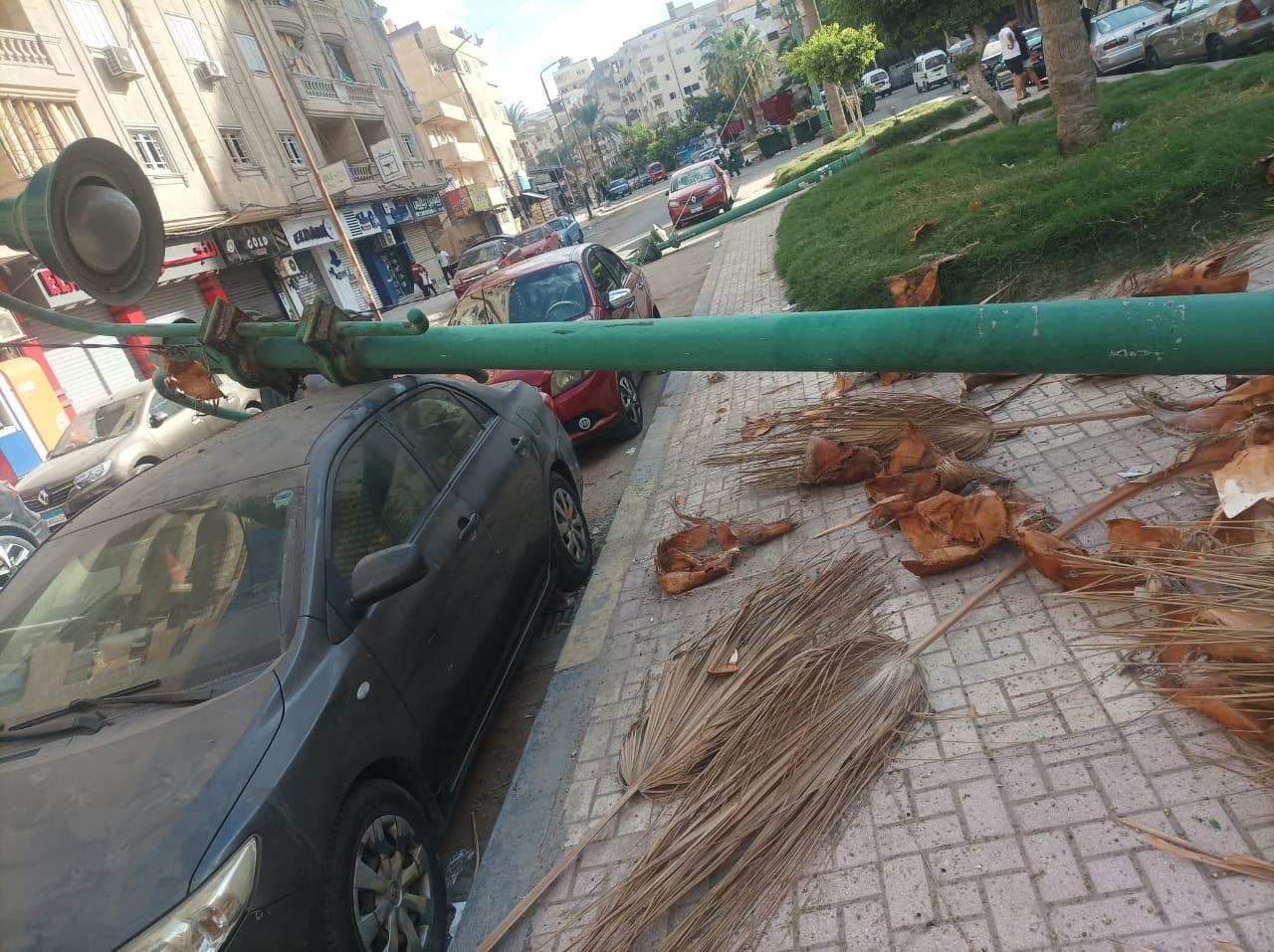 سقوط عامود إنارة على سيارة في شهر العسل بالإسكندرية| صور