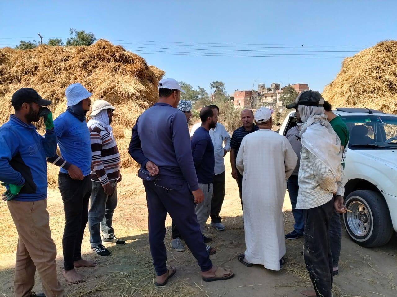  البحيرة تكثف جهودها  لمواجهة ظاهرة حرق قش الأرز وحماية البيئة| صور