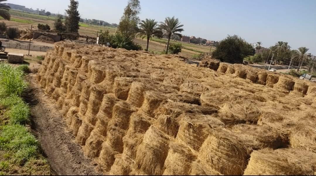 تراجع ظاهرة السحابة السوداء بالشرقية| صور