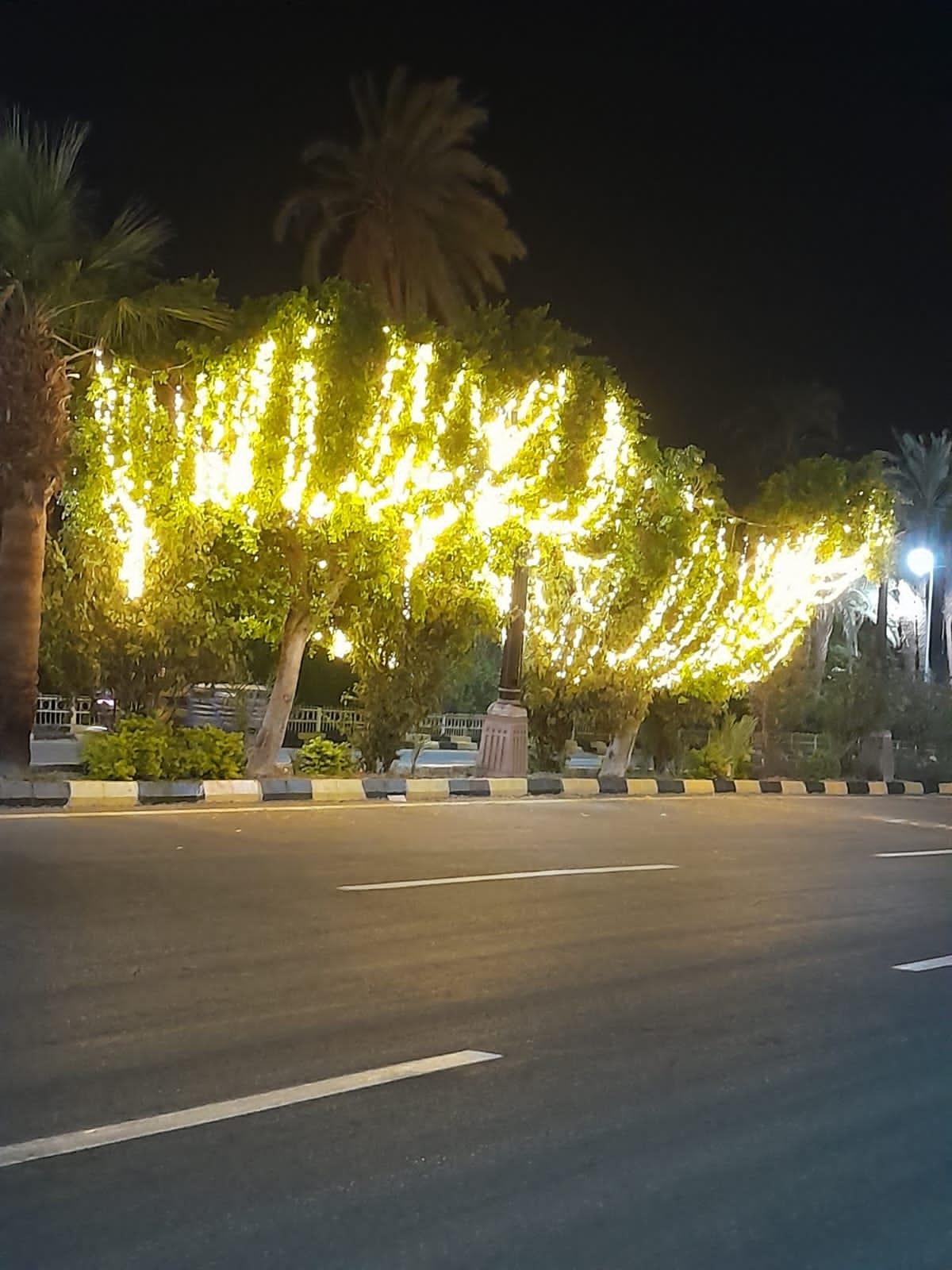 شوارع الأقصر ومعالمها تتزين بعناقيد النور الديكورية للإحتفال بـ ليلة رأس السنة