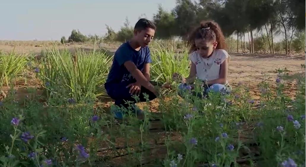 تعرف على قائمة أفلام مهرجان المنصورة لسينما الأطفال في دورته الأولى